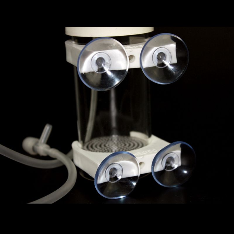 Incubadora de Huevos para Pece - Aquarium & Marine Science Center reseña y precio
